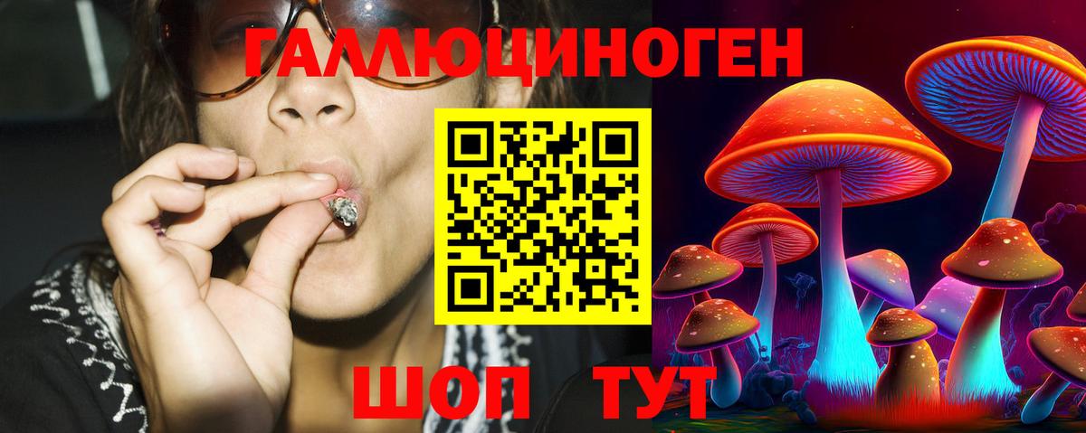 Галлюциногенные грибы Psilocybine cubensis Артём
